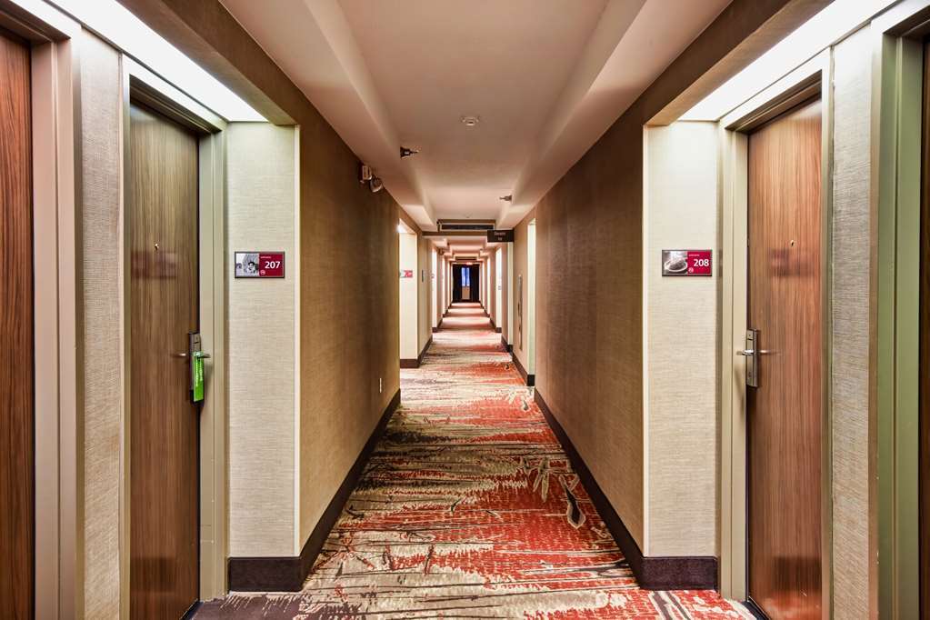 Hampton Inn Starkville Inreriör bild